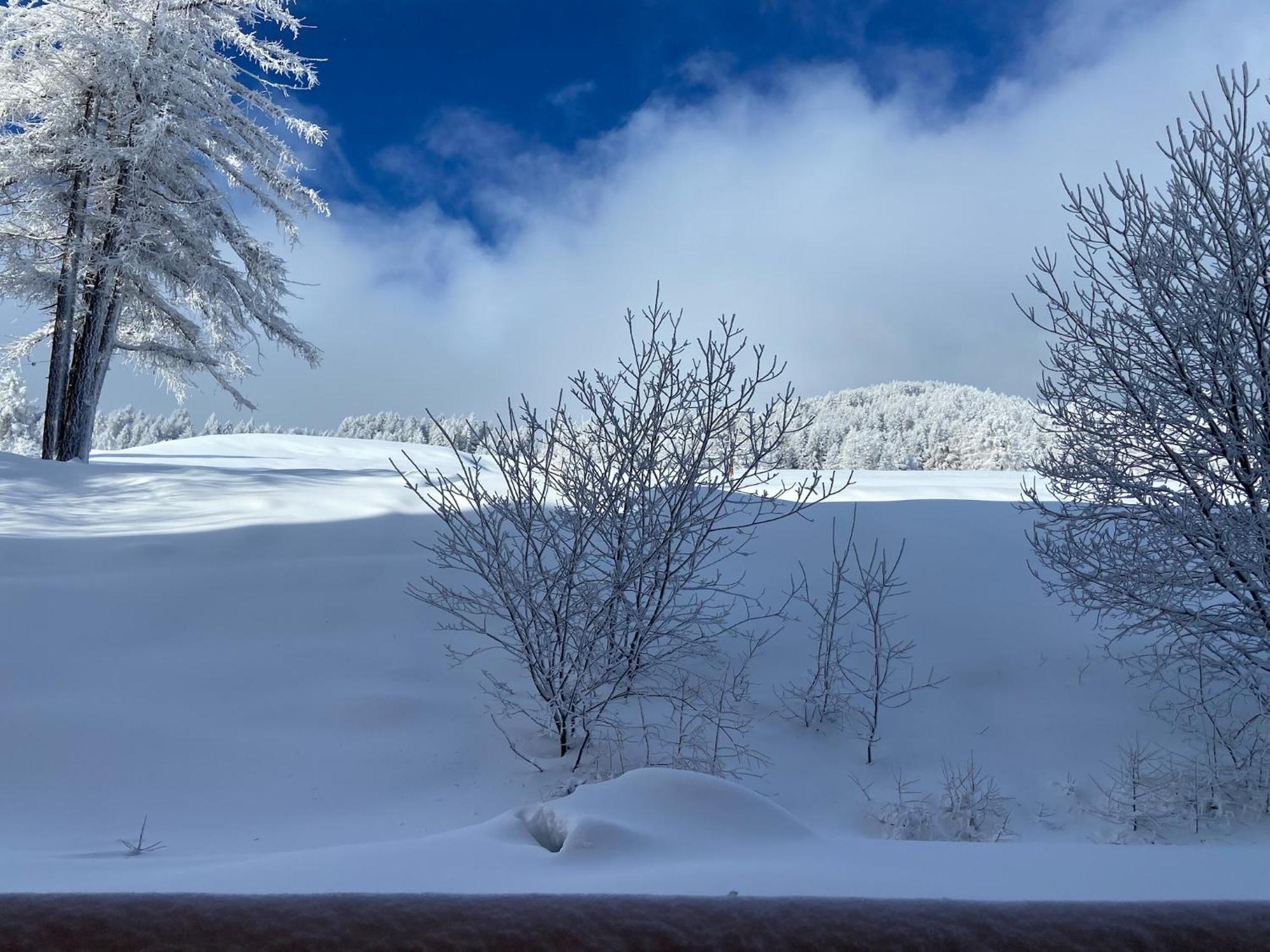 Pied Des Pistes, 2 Pieces, 6Pers, Piscine Et Sauna Різуль Екстер'єр фото
